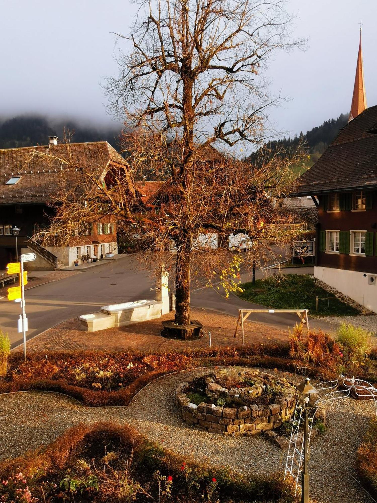 Gasthof Kreuz Marbach 外观 照片